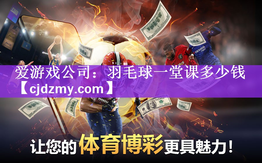 爱游戏公司：羽毛球一堂课多少钱